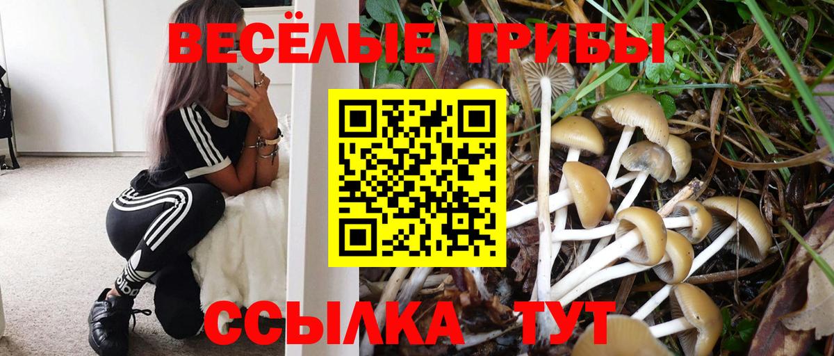 Галлюциногенные грибы ЛСД  Вход с VPN  Балабаново 